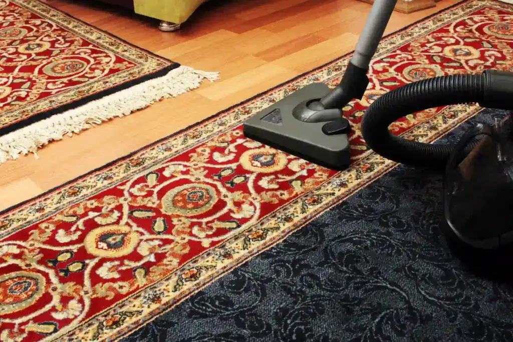 Basic Care & Vacuuming